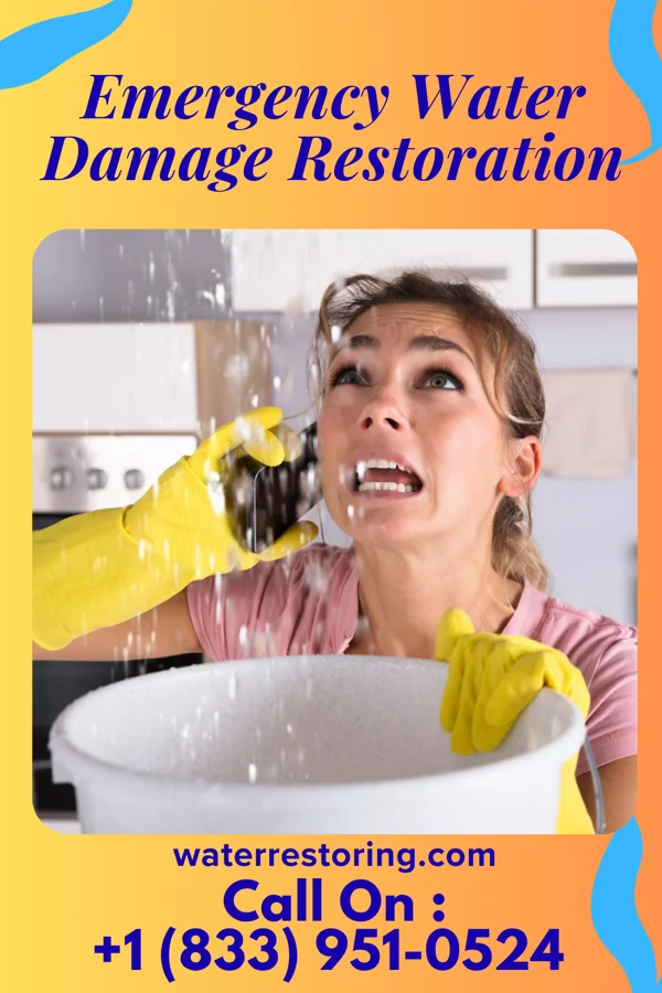 Emergency Water Damage Restoration in Logan, UT
